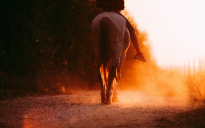 Feel The Horse’s Movement And Get Your Timing Right