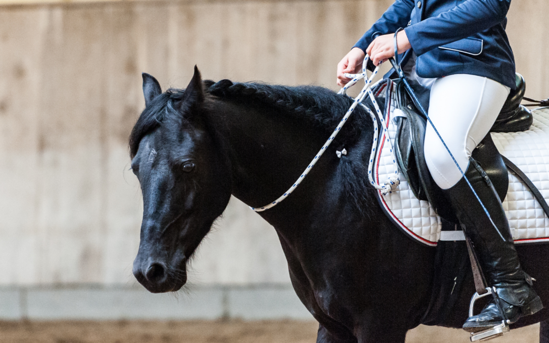 How Do You Mount Your Horse?