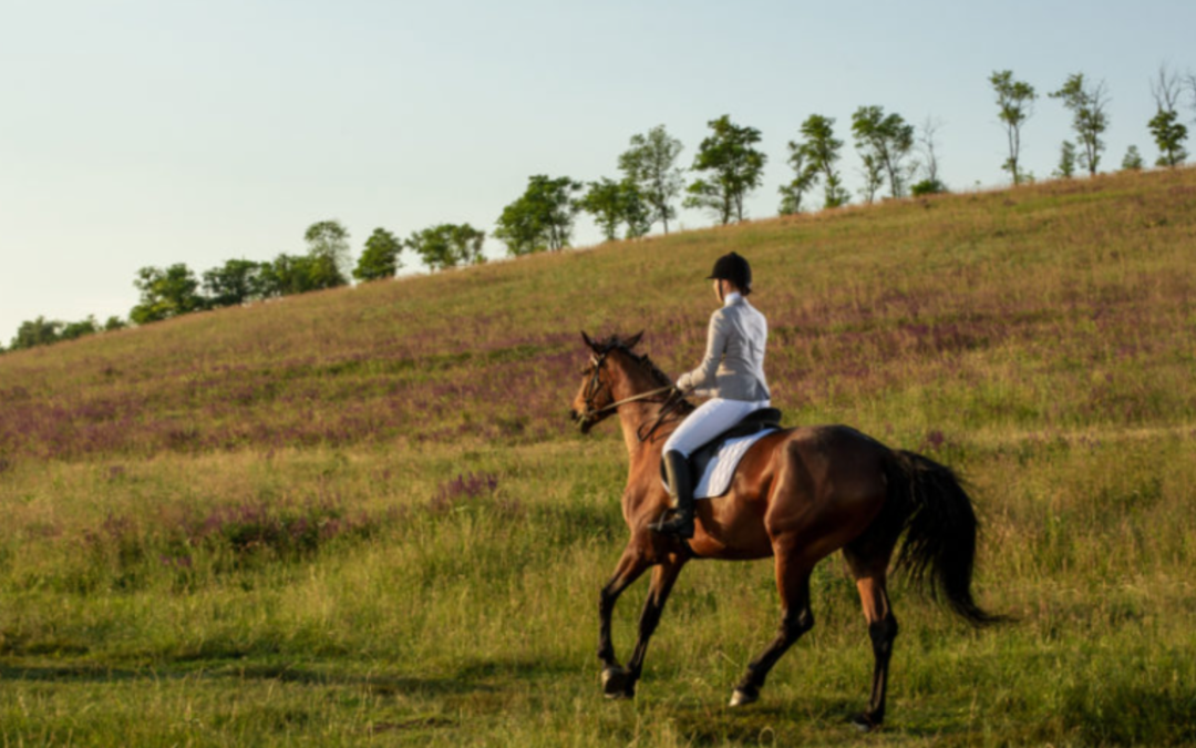 Cue Your Horse With Your Thoughts!