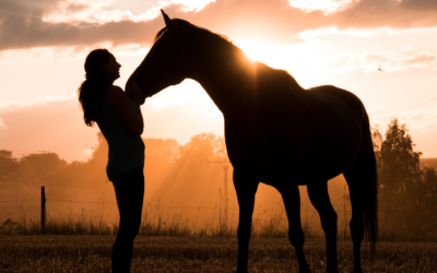 Honoring My Mentors – #6 Of course – My Horses!