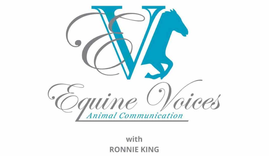 Equine Voices Communication – Video Podcast