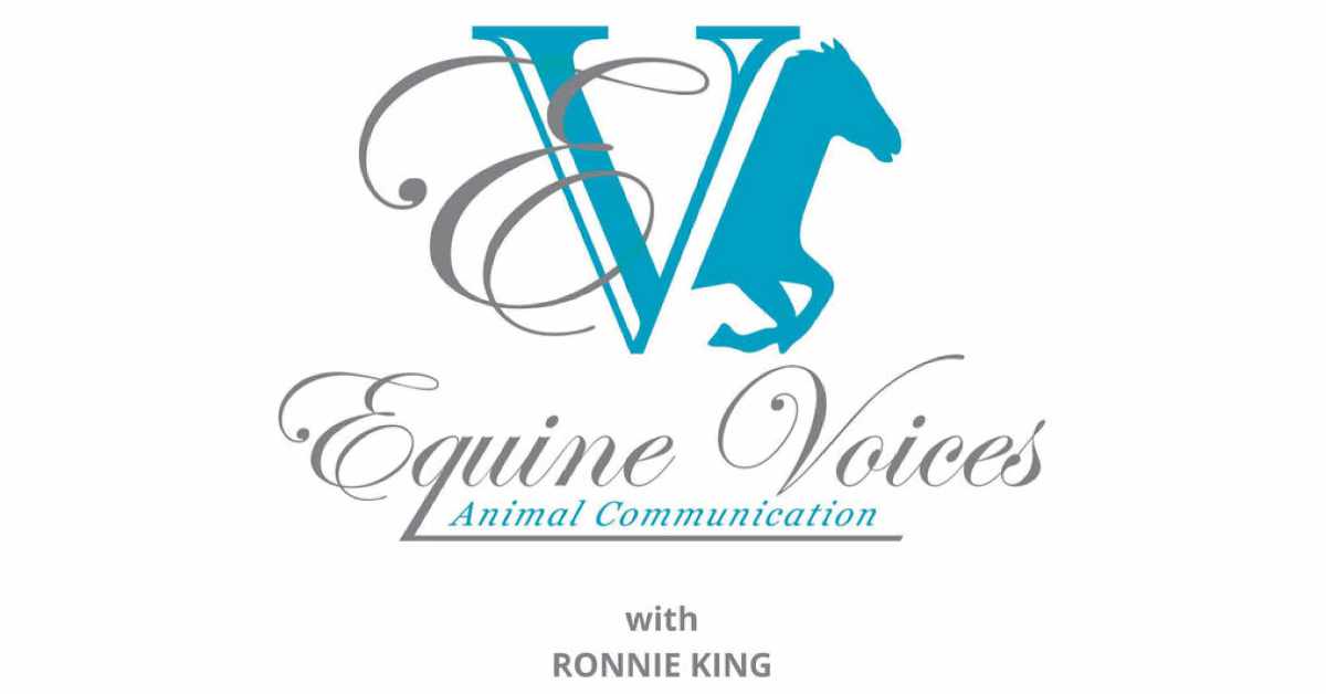 Equine Voices Communication – Video Podcast