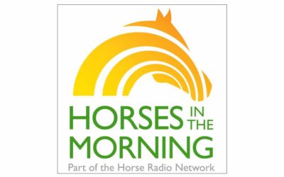 Horses in the Morning
