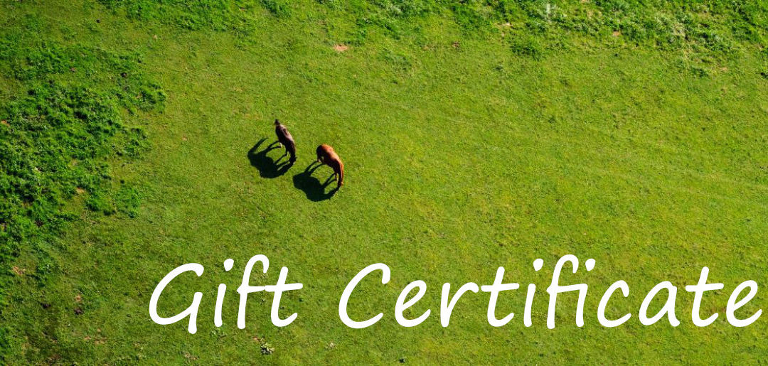 Gift Certificate 1 – Free Horse Edition