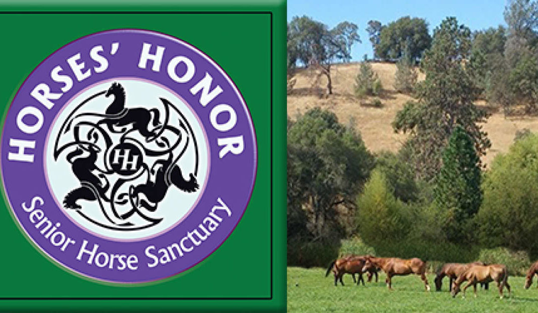 Horses’ Honor Tack Sale and Open House