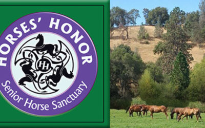 Horses’ Honor Tack Sale and Open House